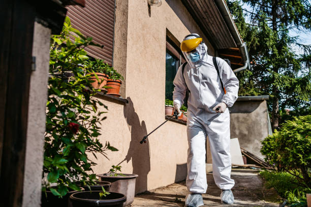 Insect Control in Bethlehem, NC