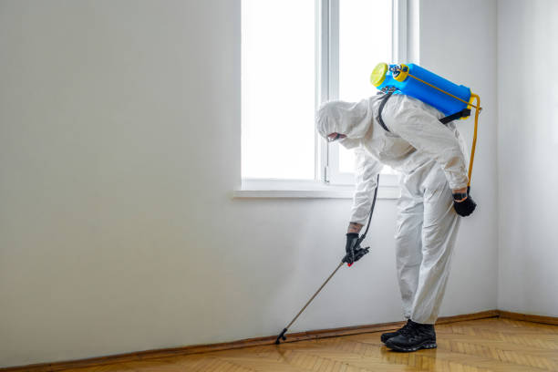 Professional Pest Control in Bethlehem, NC