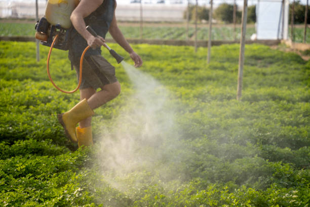 Best Affordable Pest Control Services  in Bethlehem, NC