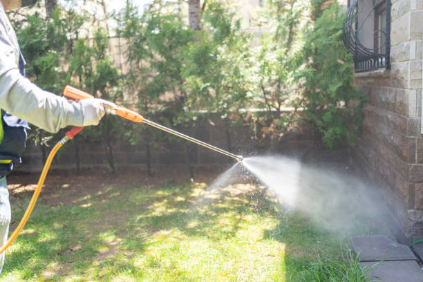 Best Local Pest Control Services  in Bethlehem, NC