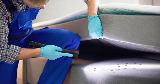 Best Flea Control Services  in Bethlehem, NC