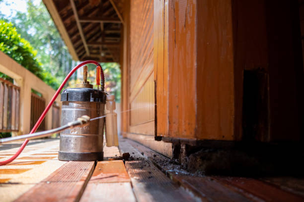 Best Affordable Exterminators  in Bethlehem, NC