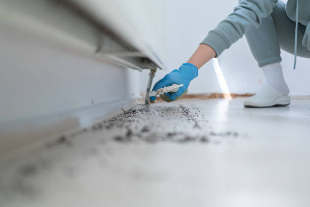 Best Pest Prevention Services  in Bethlehem, NC